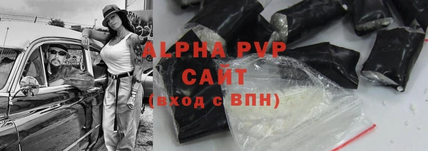 сатива Бородино