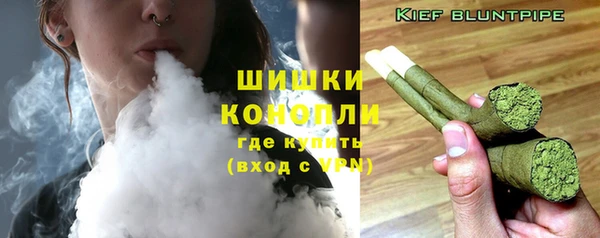 хмурый Бронницы