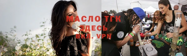 сатива Бородино