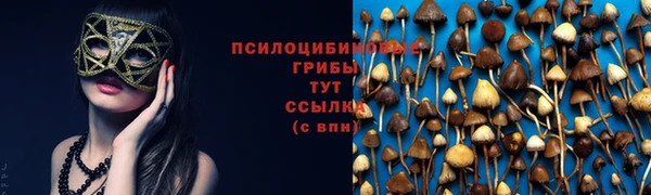 хмурый Бронницы
