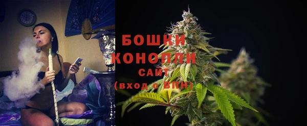 мдпв Богданович