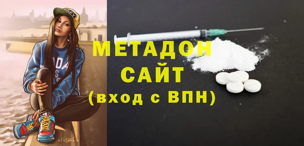 сатива Бородино
