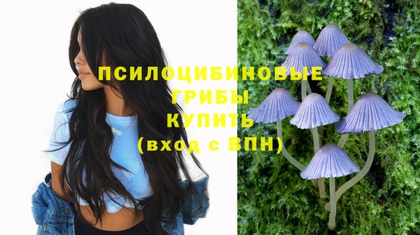 хмурый Бронницы