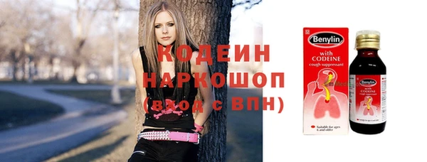 сатива Бородино