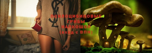 сатива Бородино