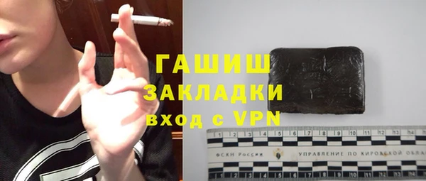 сатива Бородино