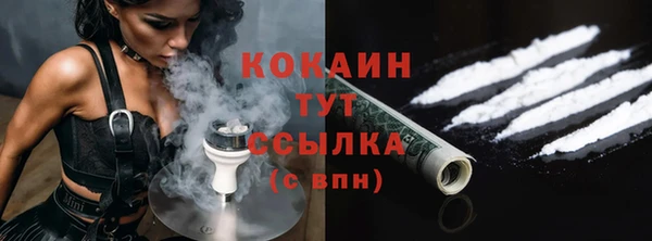 сатива Бородино