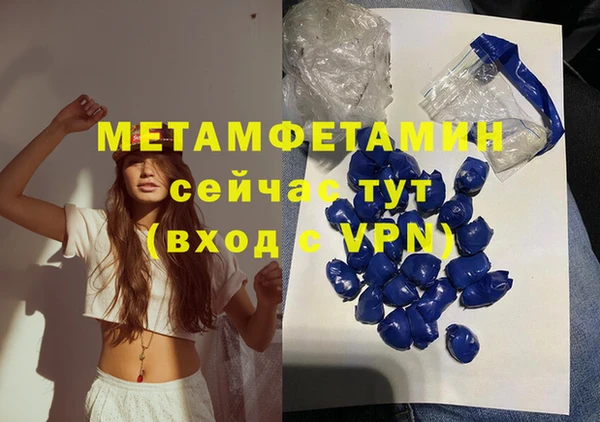 сатива Бородино