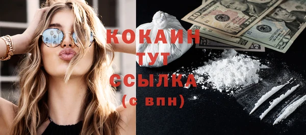 сатива Бородино