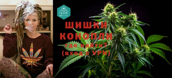 сатива Бородино