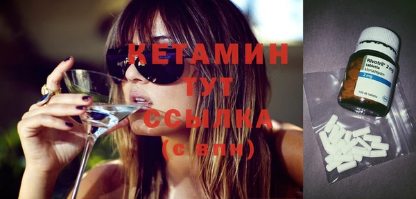 сатива Бородино