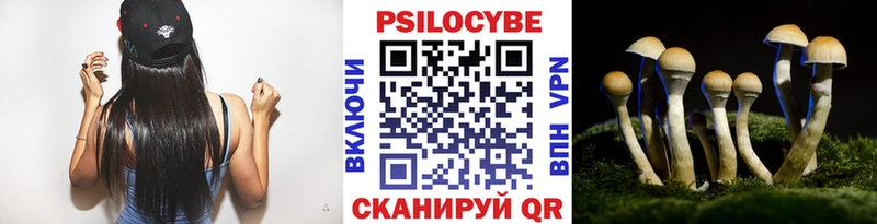 Купить  Кохма  Галлюциногенные грибы GOLDEN TEACHER 